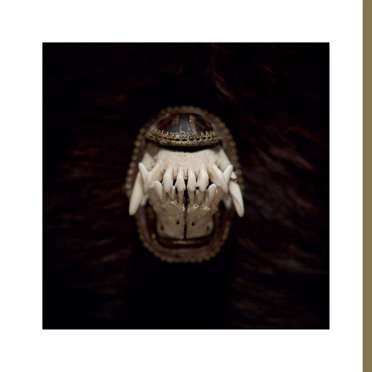 Amenra - De Toorn - LP - Relapse Records - Image 2