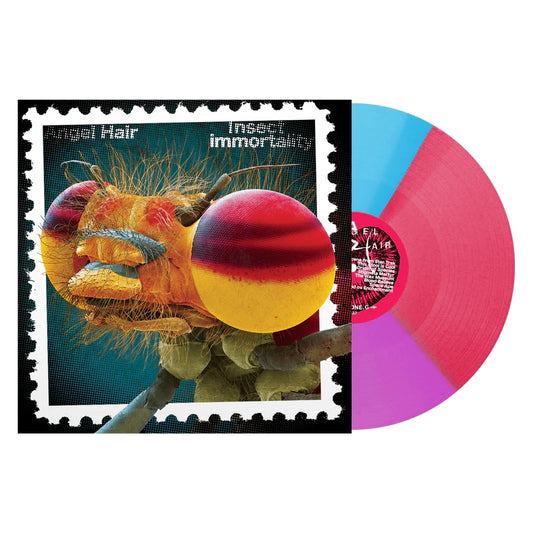 Angel Hair - Insect Immortality - LP COLORED - Unknown - Image 2