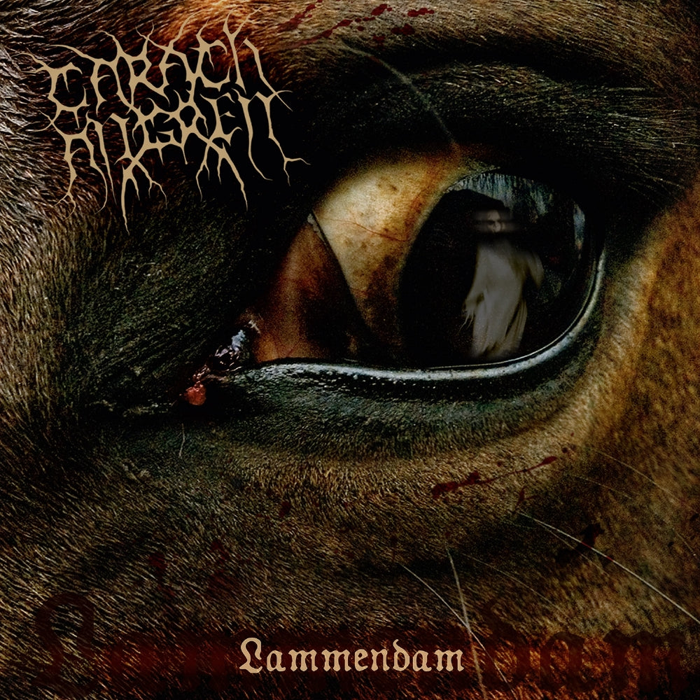 Carach Angren - Lammendam - DOUBLE LP Gatefold - SEASON OF MIST - Image 2