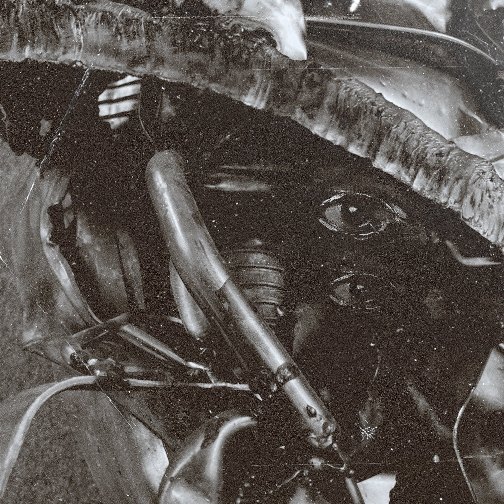 Emptiness - Nowhere Speaks - LP Gatefold - SEASON OF MIST - Image 3