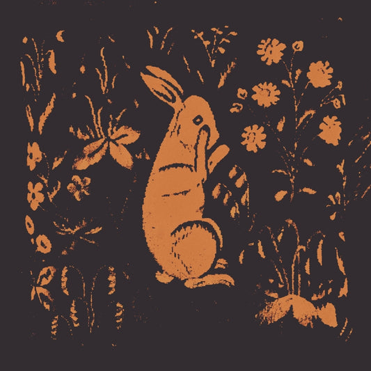 Sadness - ____ (aka the Rabbit Album) - LP COLORED - Flowing Downward - Image 2