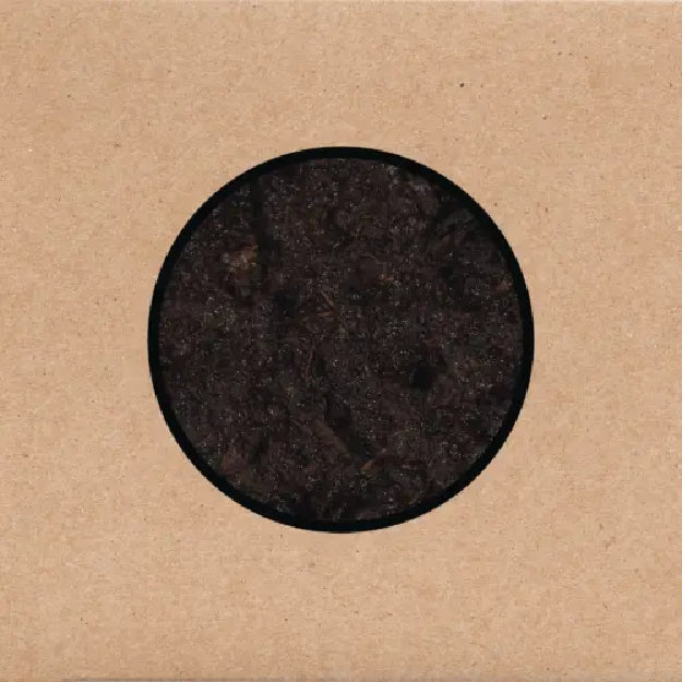 Swans - Birthing - TRIPLE LP - Young Gods