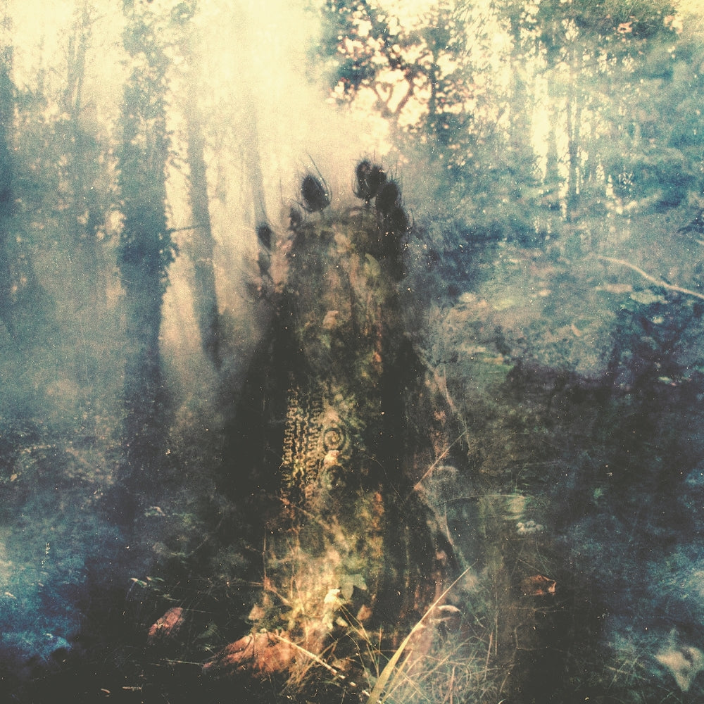 Sylvaine - Wistful - CD DIGIPAK - SEASON OF MIST - Image 2