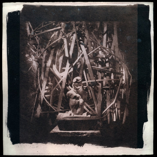 Withered - Verloren - LP Gatefold Coloured + T-shirt + Art Print - Underground Activists - Image 2