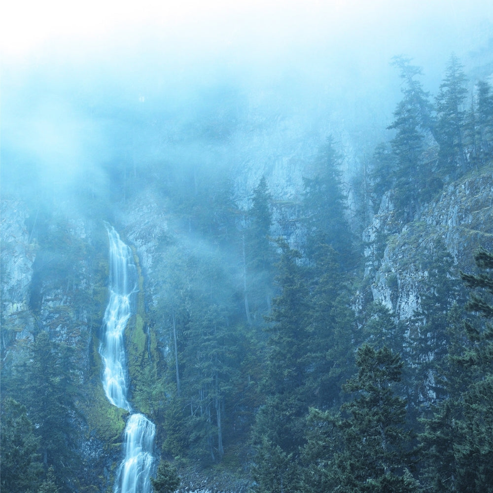 Wolves In The Throne Room - Diadem Of 12 Stars - Double LP Gatefold + Download Card - Artemisia