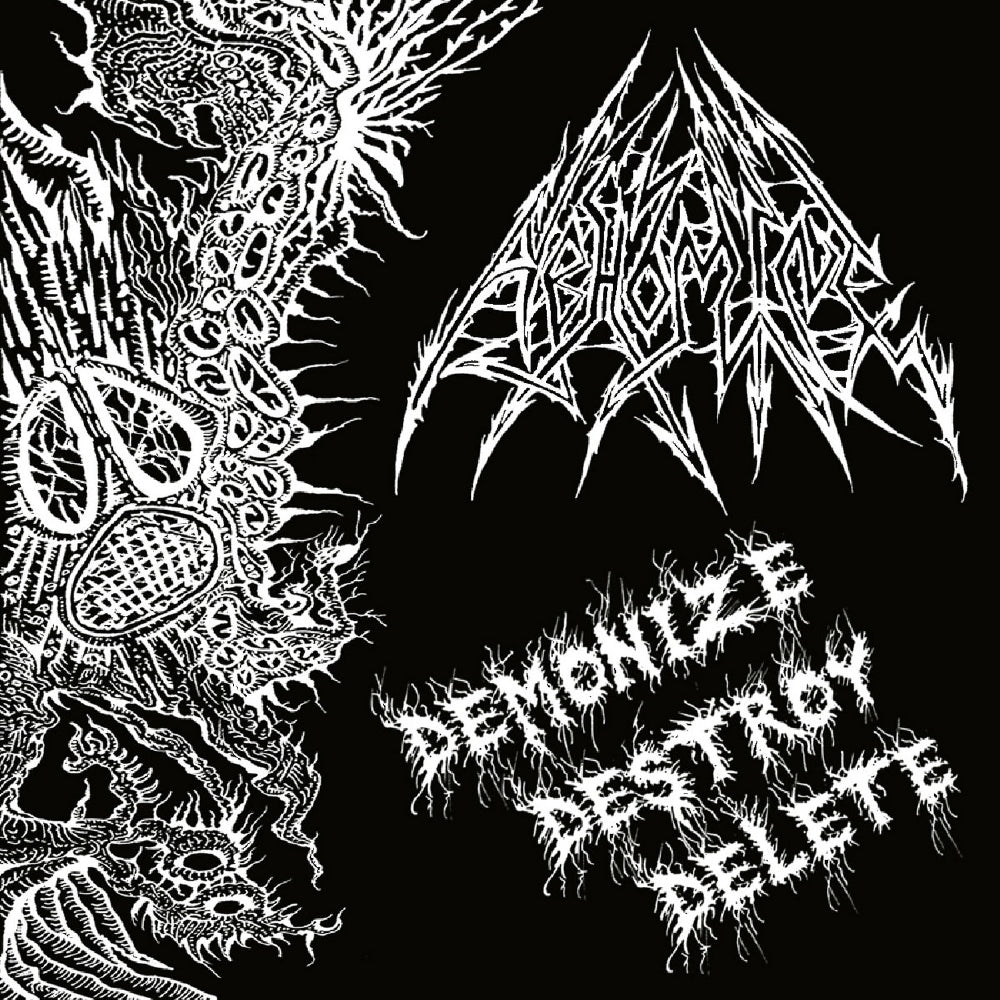Abhomine - Demonize Destroy Delete - LP - Hells Headbangers