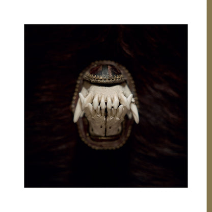Amenra - De Toorn - LP - Relapse Records - Image 2