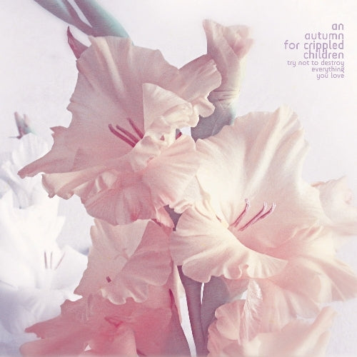 An Autumn For Crippled Children - Try not to Destroy Everything you Love - CD - ATMF