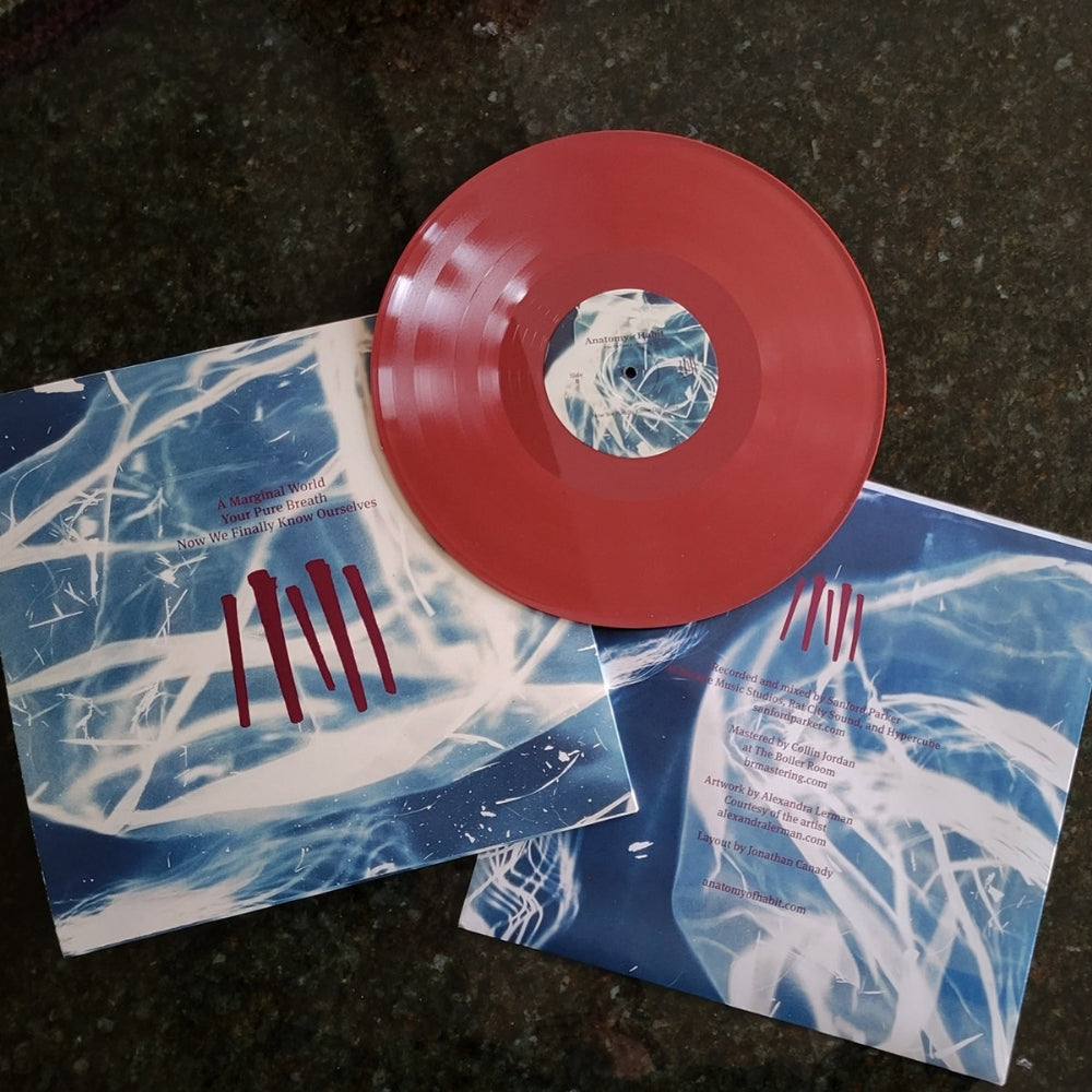 Anatomy of Habit - Even If It Takes a Lifetime - LP COLORED - Anatomy of Habit