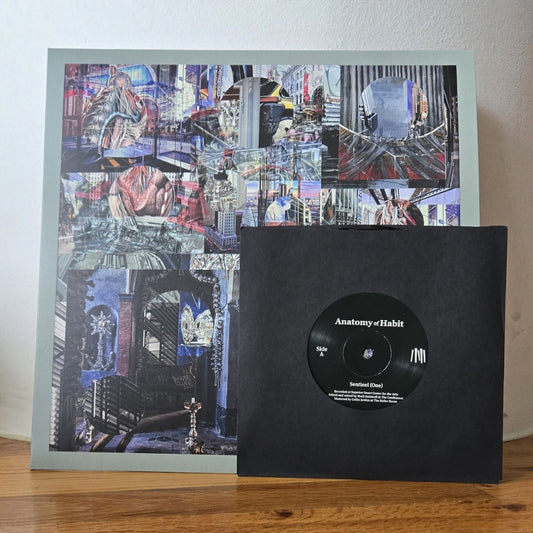 Anatomy of Habit - Paired Sentinels - LP+7EP - Anatomy of Habit