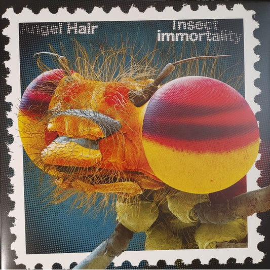 Angel Hair - Insect Immortality - LP COLORED - Unknown