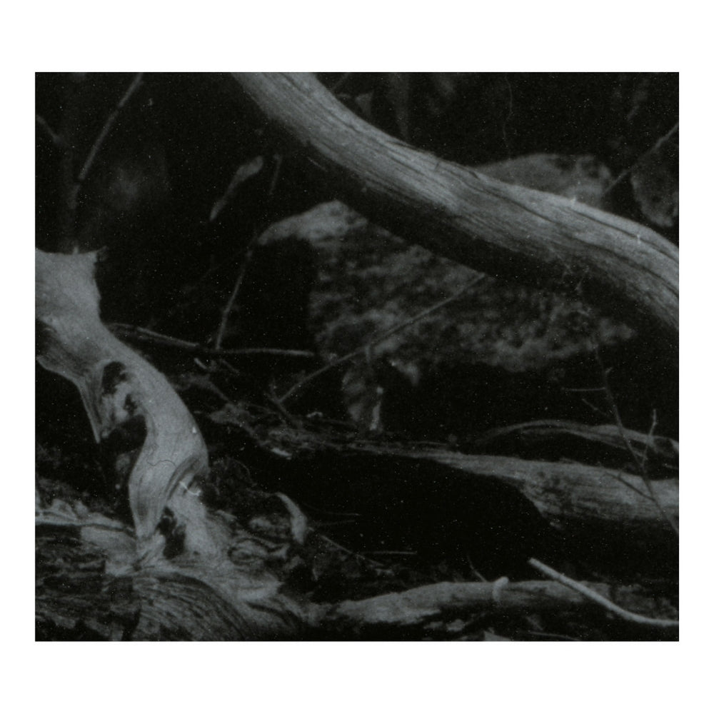 Barren Canyon - World Of Wounds - CD DIGIPAK - Avantgarde