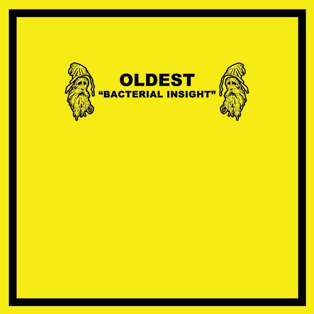 Bastard Noise and Oldest - Split - LP COLORED - Howling Mine - Image 2