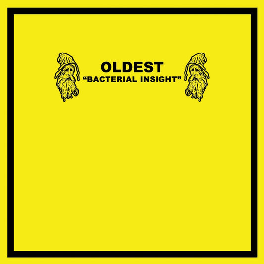 Bastard Noise and Oldest - Split - LP COLORED - Howling Mine - Image 2