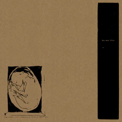 Boysetsfire - This Crying, This Screaming, My Voice Is Being Born. - LP Colored + 7" - Dark Operative - Image 2
