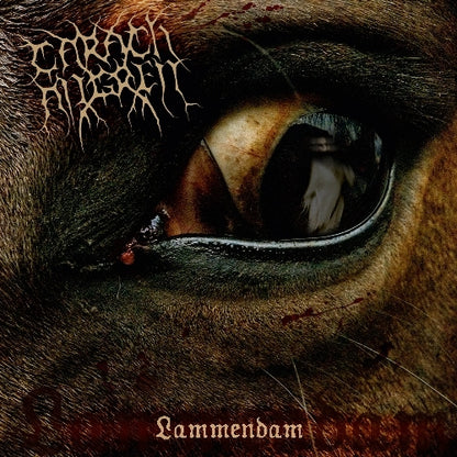 Carach Angren - Lammendam - DOUBLE LP GATEFOLD COLORED - SEASON OF MIST - Image 2
