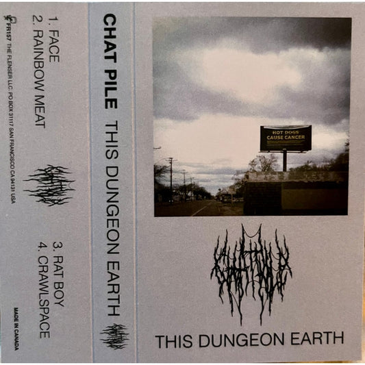 Chat Pile - This Dungeon Earth - TAPE - The Flenser - Image 2