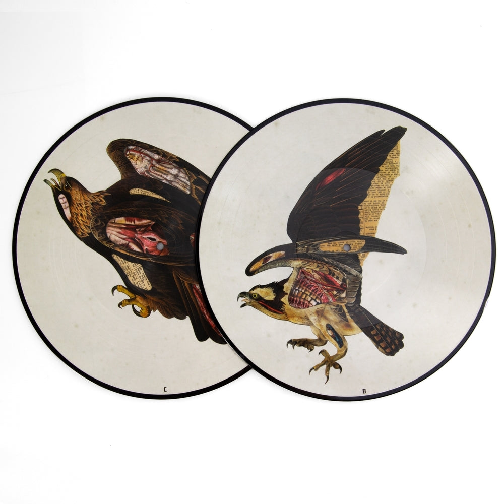 Clutch - Book of Bad Descisions - DOUBLE LP pict - Weathermaker - Image 2