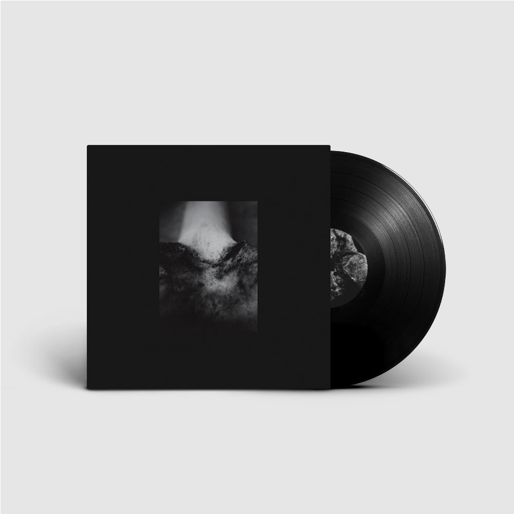 Common Eider, King Eider - A Wound of Body - LP + DOWNLOAD CARD - Sentient Ruin