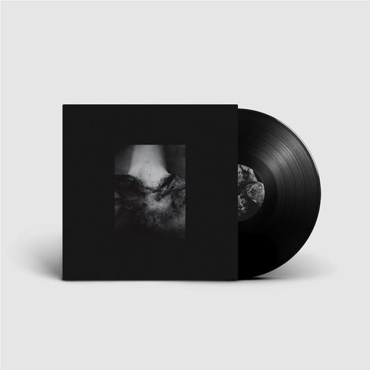 Common Eider, King Eider - A Wound of Body - LP + DOWNLOAD CARD - Sentient Ruin