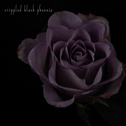 Crippled Black Phoenix - Painful Reminder / Dead Is Dead - 10" - SEASON OF MIST - Image 2