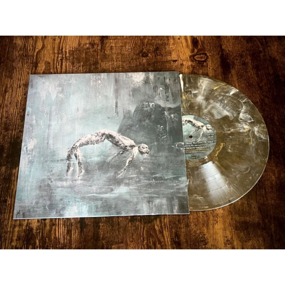 Deadyellow - What Was Left of Them - LP COLORED - Adirondack Black Mass