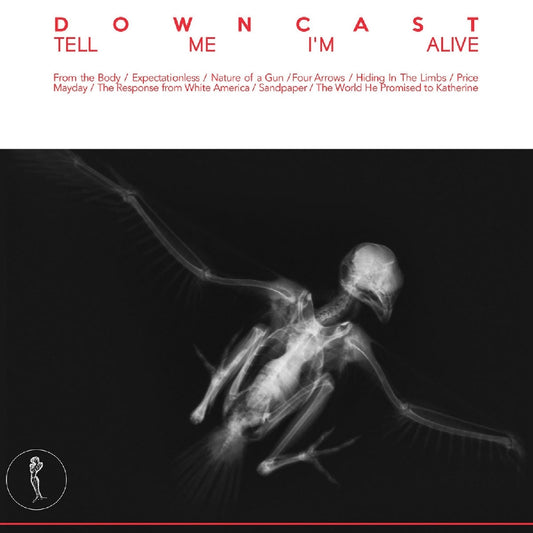 Downcast - Tell Me I Am Alive - LP - Ebullition Records