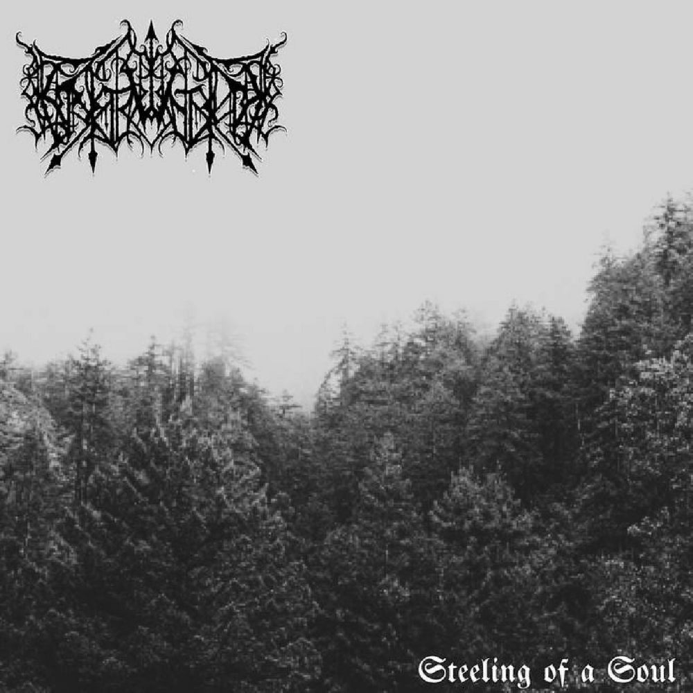 Erstwhile - Steeling of a Soul - LP - Adirondack Black Mass