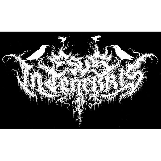 Esus In Tenebris - Chamber of Shadows - CD - Adirondack Black Mass