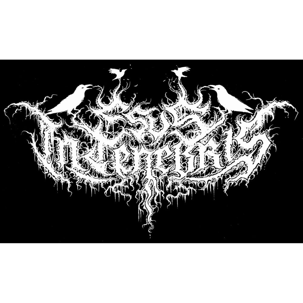 Esus In Tenebris - Chamber of Shadows - TAPE - Adirondack Black Mass