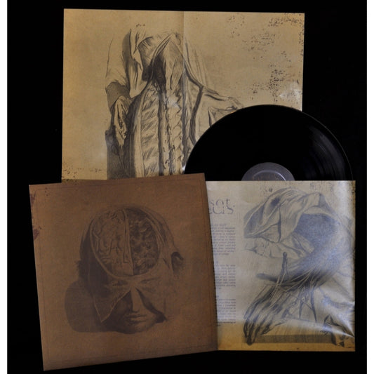 Farsot - Insects - LP - Kunsthall