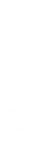 3239-0