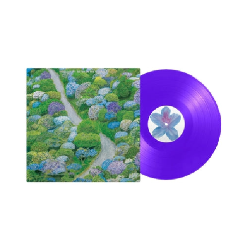 Fiddlehead - Between the Richness - LP COLORED - Run For Cover