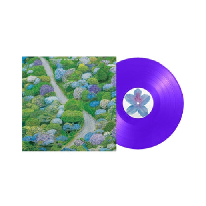 Fiddlehead - Between the Richness - LP COLORED - Run For Cover