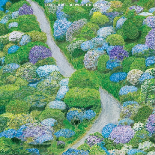 Fiddlehead - Between the Richness - LP COLORED - Run For Cover - Image 2