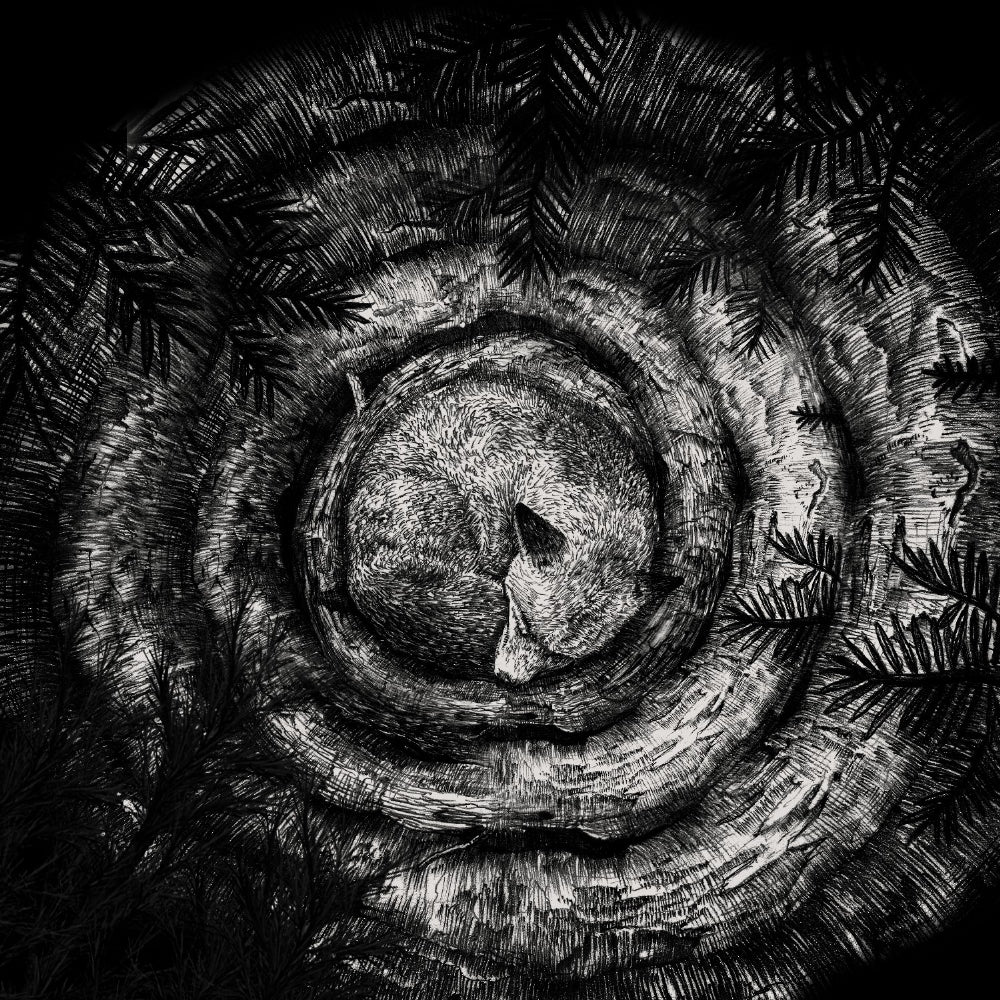 Forhist - S/T - CD DIGIPAK - Debemur Morti