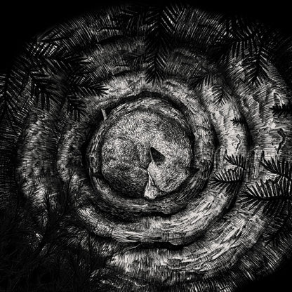 Forhist - S/T - CD DIGIPAK - Debemur Morti