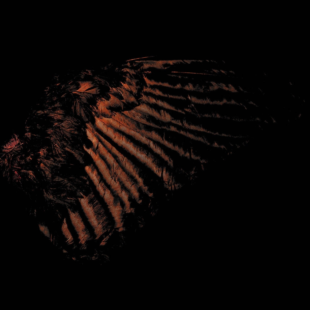 Fryktelig Støy - Incandescent - CD DIGISLEEVE - I, Voidhanger Records