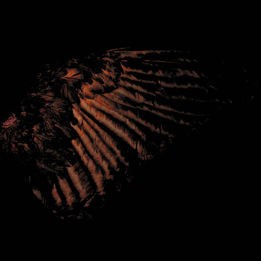 Fryktelig Støy - Incandescent - CD DIGISLEEVE - I, Voidhanger Records