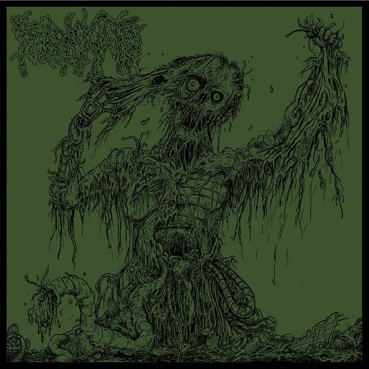 Fulminate - Agony Resonates Pleasantly - CD - Adirondack Black Mass