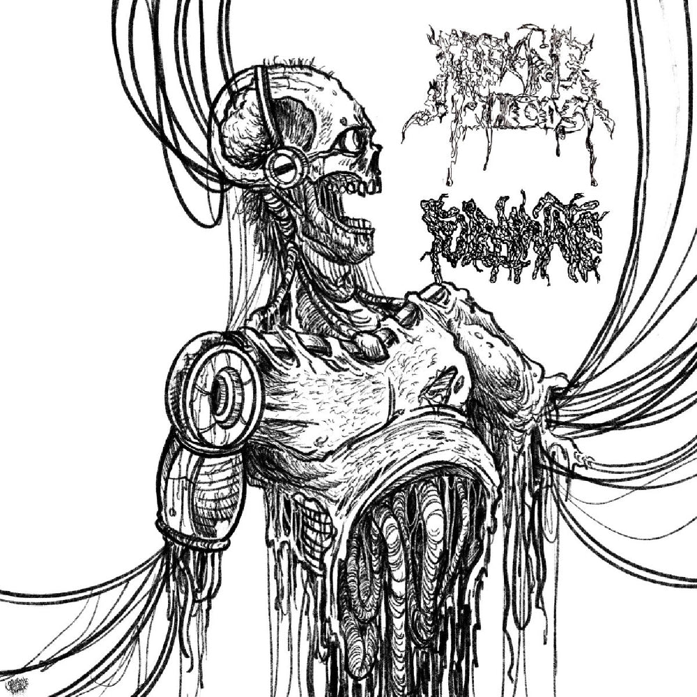 Fulminate and Reeking Pieces - Split - CD - Adirondack Black Mass