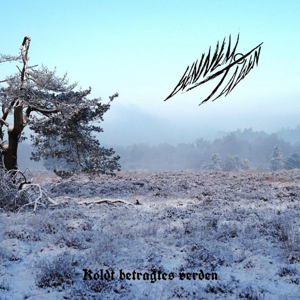 Gennem Tågen - Koldt Betragtes Verden - CD DIGIPAK - Vendetta
