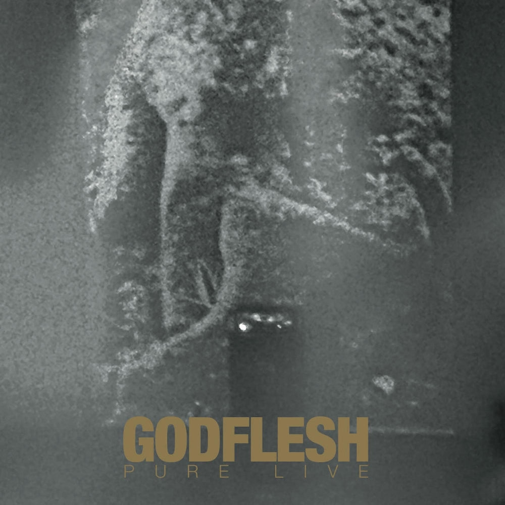 Godflesh - Pure Live - DOUBLE LP Gatefold - Avalanche Recordings