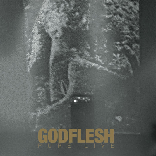 Godflesh - Pure Live - DOUBLE LP Gatefold - Avalanche Recordings