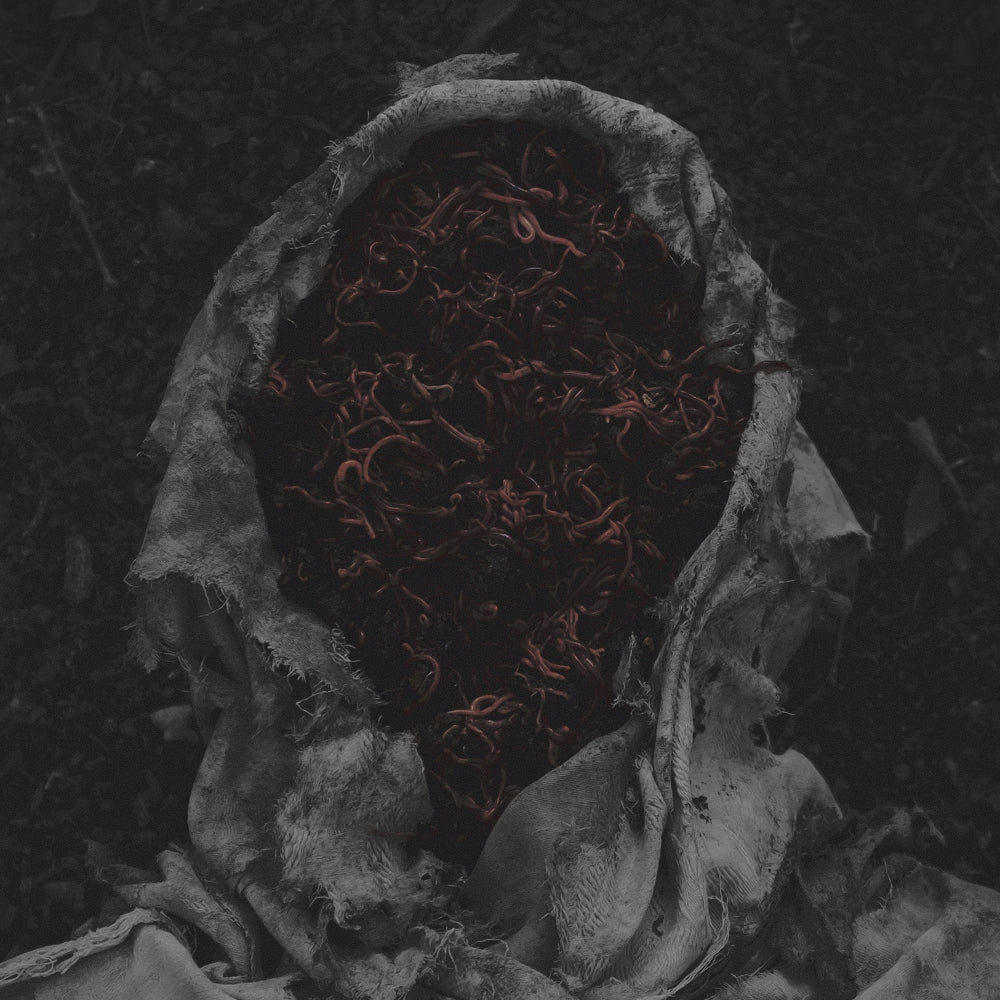 Gorrch - Stillamentum - CD DIGIPAK - Unknown