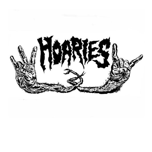 Hoaries - Rocker Shocker - LP Gatefold - Reptilian