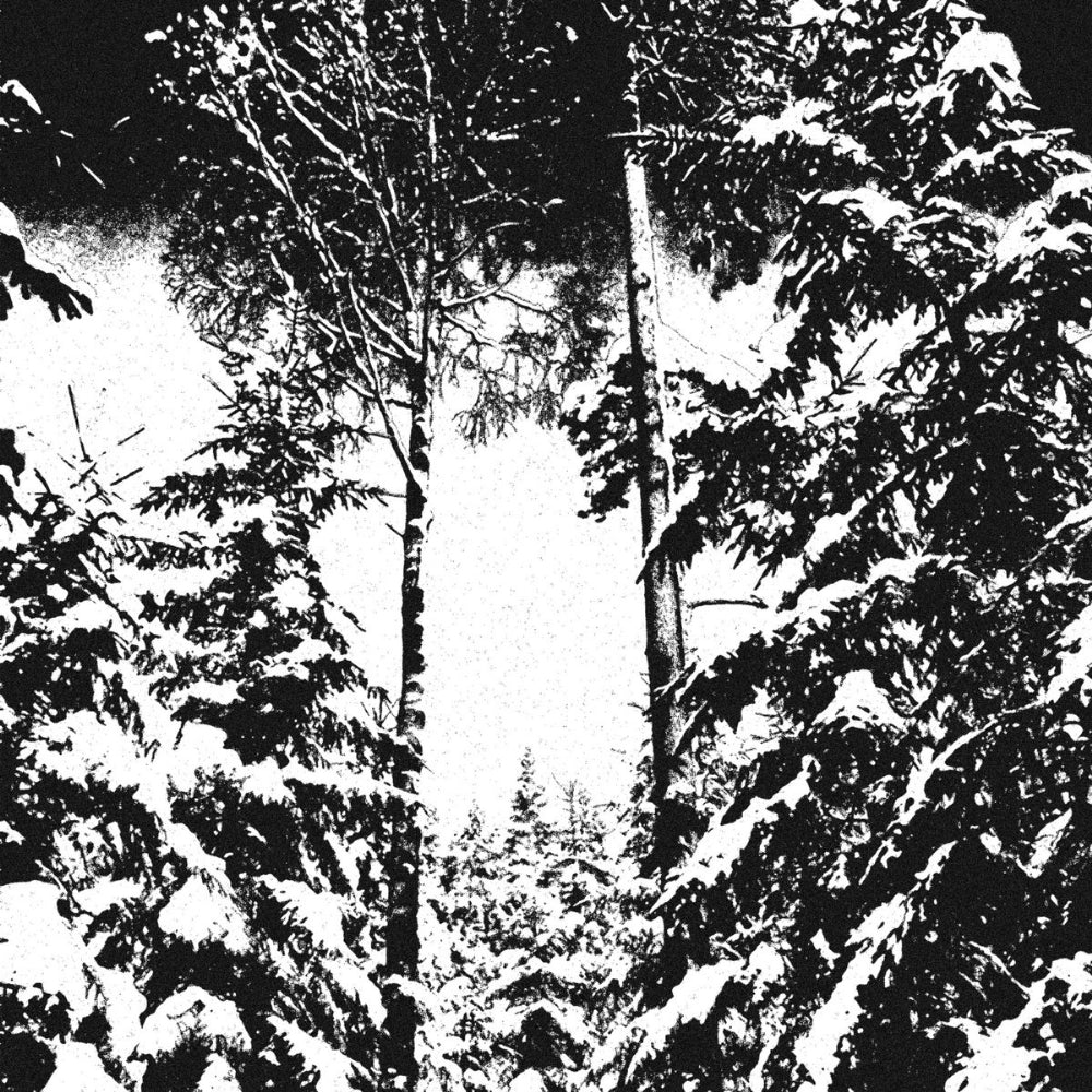 Hvergelmir - Urskog - LP - Shadows Linger