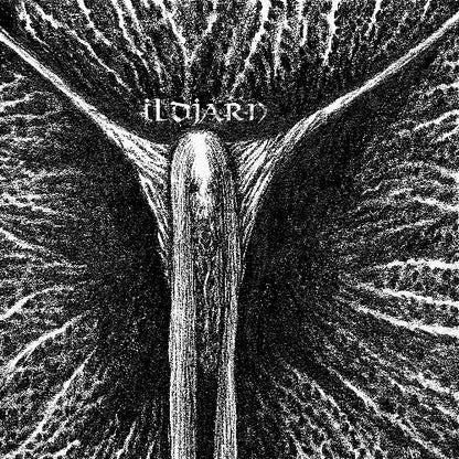 Ildjarn - Ildjarn (Reissue) - DOUBLE LP GATEFOLD COLORED - Underground Activists - Image 2