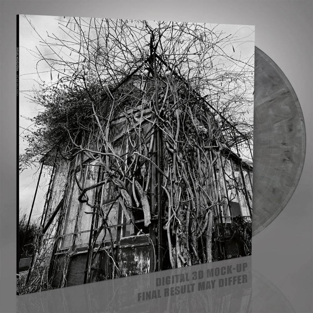 Impure Wilhelmina - Dead Decades - LP COLORED - SEASON OF MIST