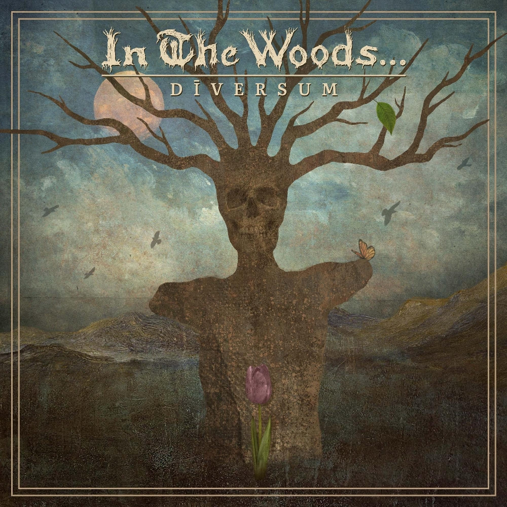 In the Woods - Diversum - LP COLORED - Soulseller
